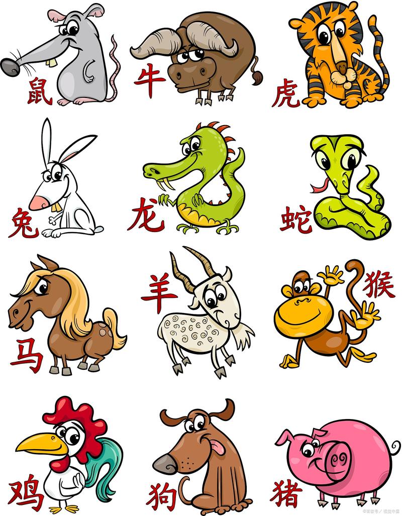 新打一生肖動物、新指的是什么動物