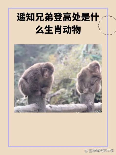 “山青水秀民情樸,雞鴨成群糧食富”打一個生肖動物的簡單介紹