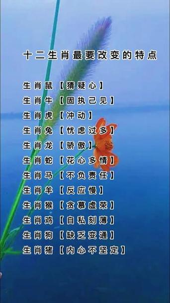 ?打一生肖、打一生肖是什么動(dòng)物