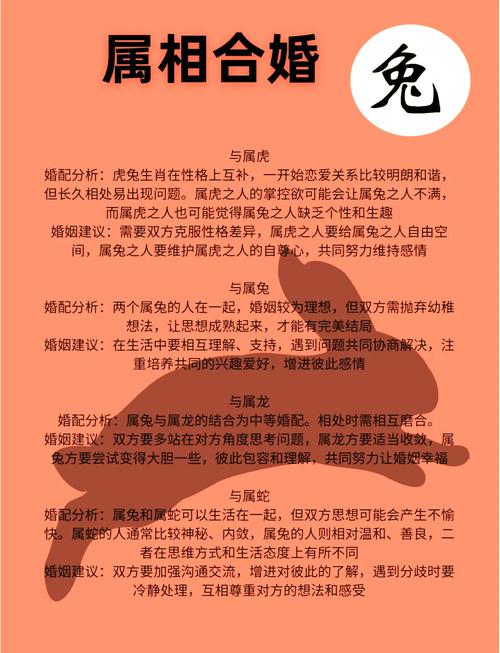 關于“虎頭兔尾要注意”是代表哪個生肖的信息