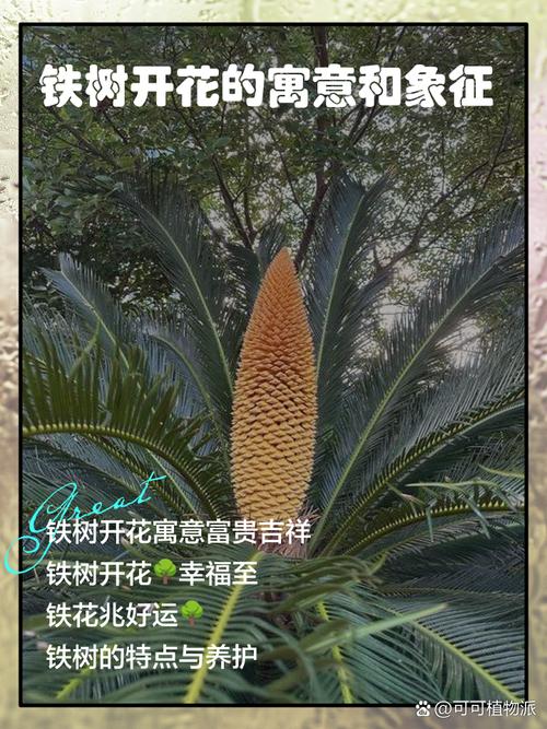 關于“鐵樹開花古來稀,四四六六南北財”指什么生肖的信息