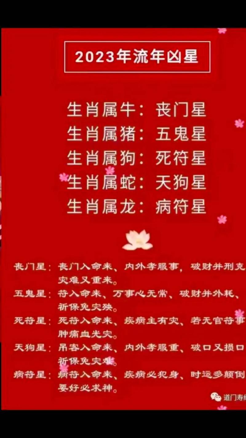 壽指的是什么生肖、壽正確答案生肖是什么動(dòng)物