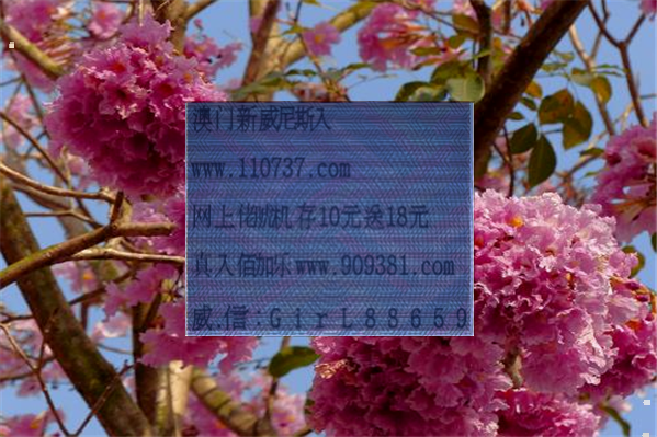 二七三七旺今期打一數(shù)字、二七三九中本期是什么生肖