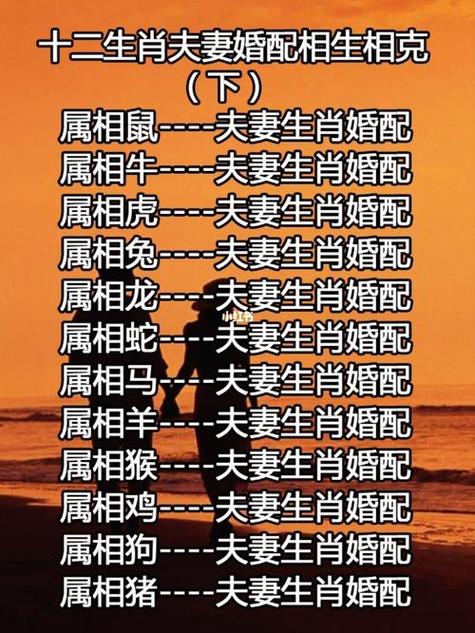 一樣都一樣打一生肖、一樣也不一樣是什么意思