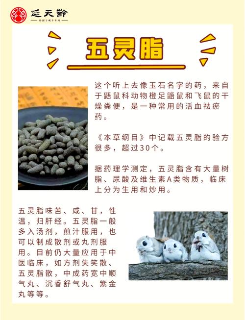 關(guān)于中藥打一生肖是什么動物的信息