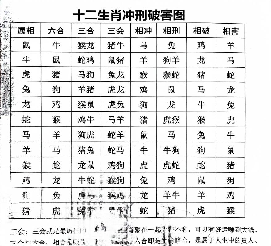 兔沖什么生肖相克屬相、兔的相沖相克是什么生肖