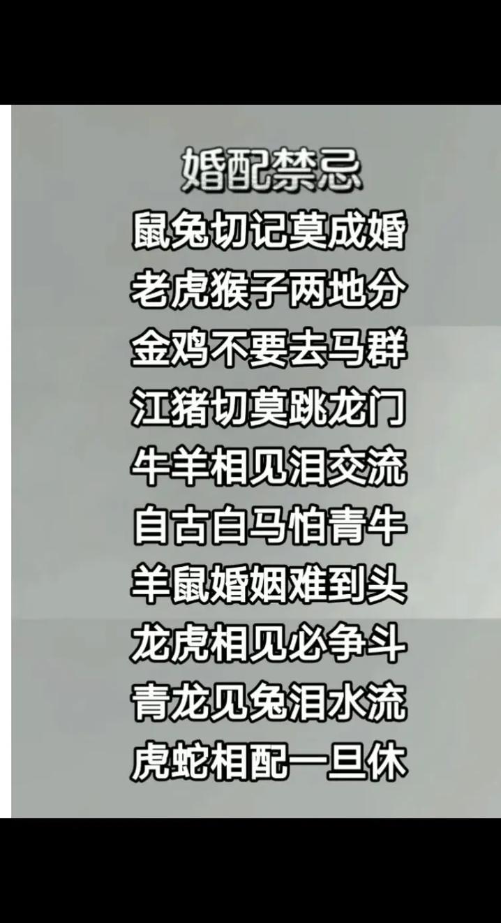 “一馬當先要看大,子午相沖不可信”打一生肖是什么的簡單介紹