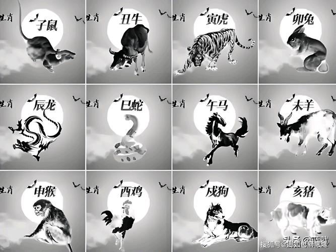 打一生肖最佳配對、打一生肖是什么動物