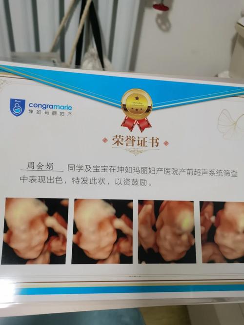 國之四維指打一生肖、國之四維包括哪些內容