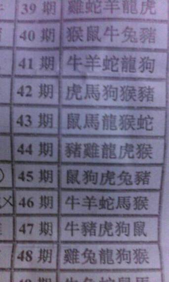 今期開什么生肖動物視頻、今期開什么生肖動物視頻2o19
