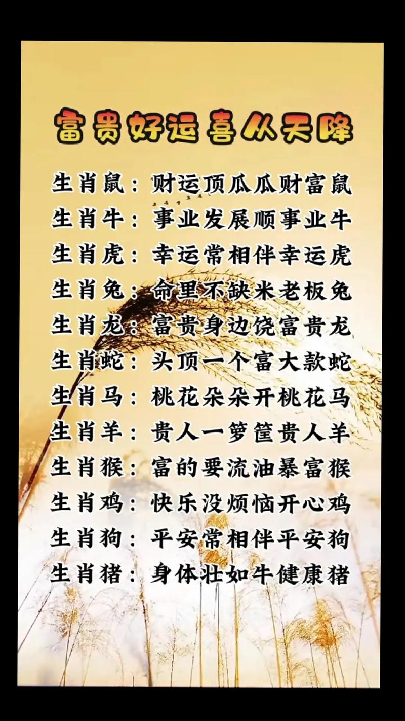 今期開懷打最佳生肖、今期開什么生肖動物視頻
