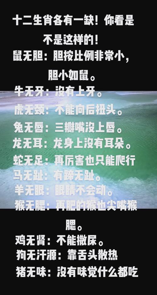 開口惡毒不留情指的是什么生肖、開口惡毒不留情指的是什么生肖動物