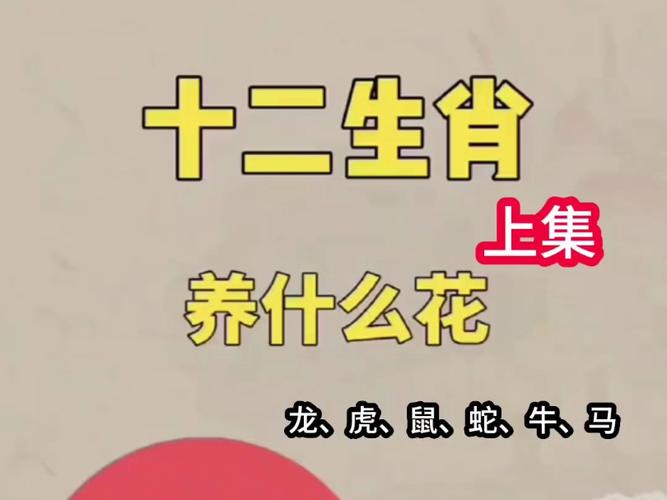 今期生肖開紅花最佳動物是什么、今期生肖開金花是什么生肖請回答