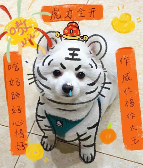 今期生肖四方正,孰知畫虎難畫骨的簡單介紹