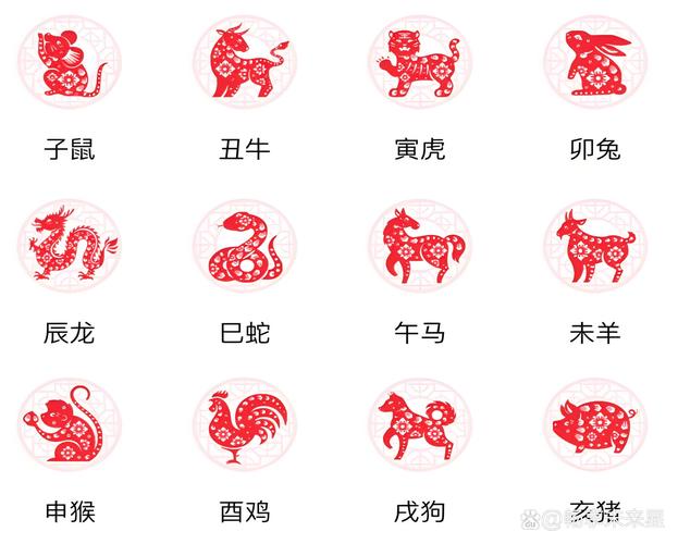 今期生肖龍雞羊、今期生肖雞進籠是什么生肖