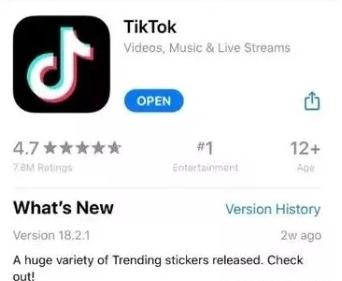 包含vietnamtiktok的詞條