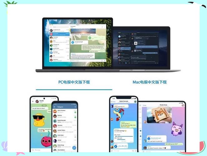 如何登錄紙飛機軟件、在國內紙飛機怎么登錄