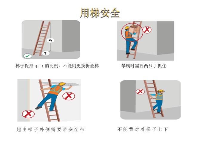 關于什么是梯子ip如何用梯子的信息