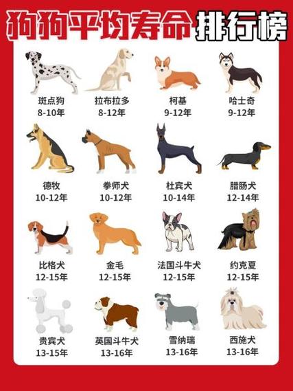 狗狗壽命一覽表、狗狗壽命排行榜1至79