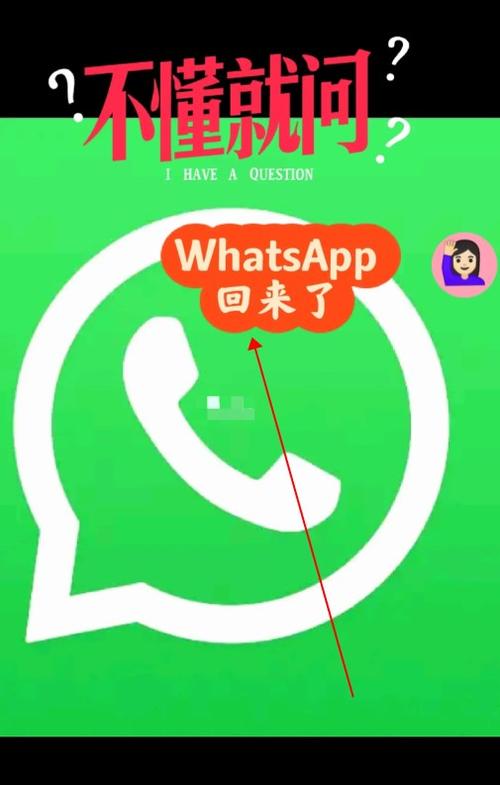 最新whatsapp官網、whatsapp官網最新下載安卓