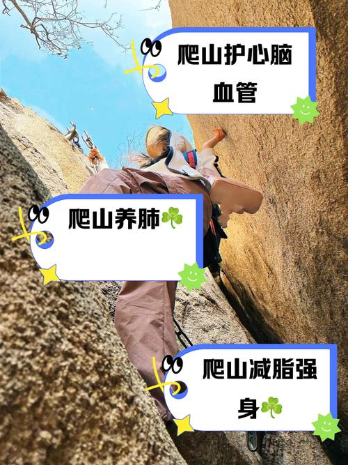 爬山軟件是什么意思、爬山軟件是什么意思啊
