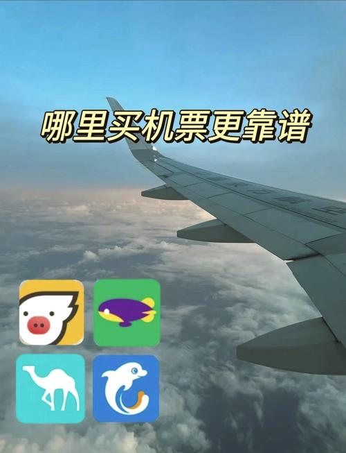 飛機售賣網站、賣飛機的app