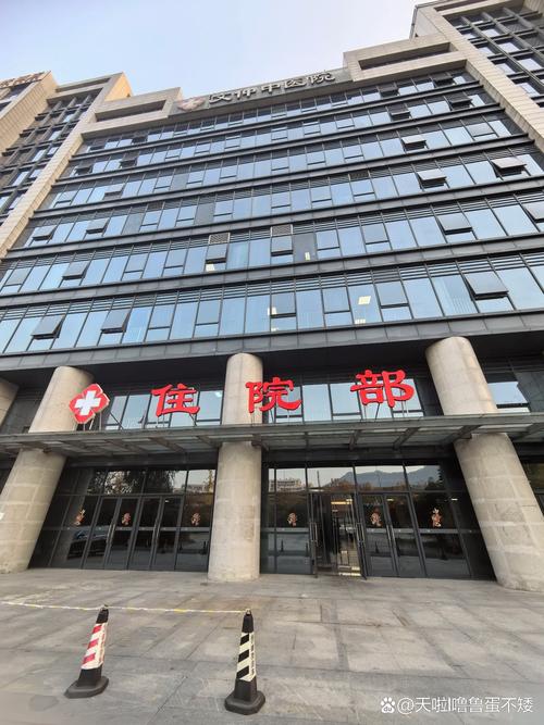 國內治療腫瘤最好的中醫院、中醫治療腫瘤全國最好的醫院