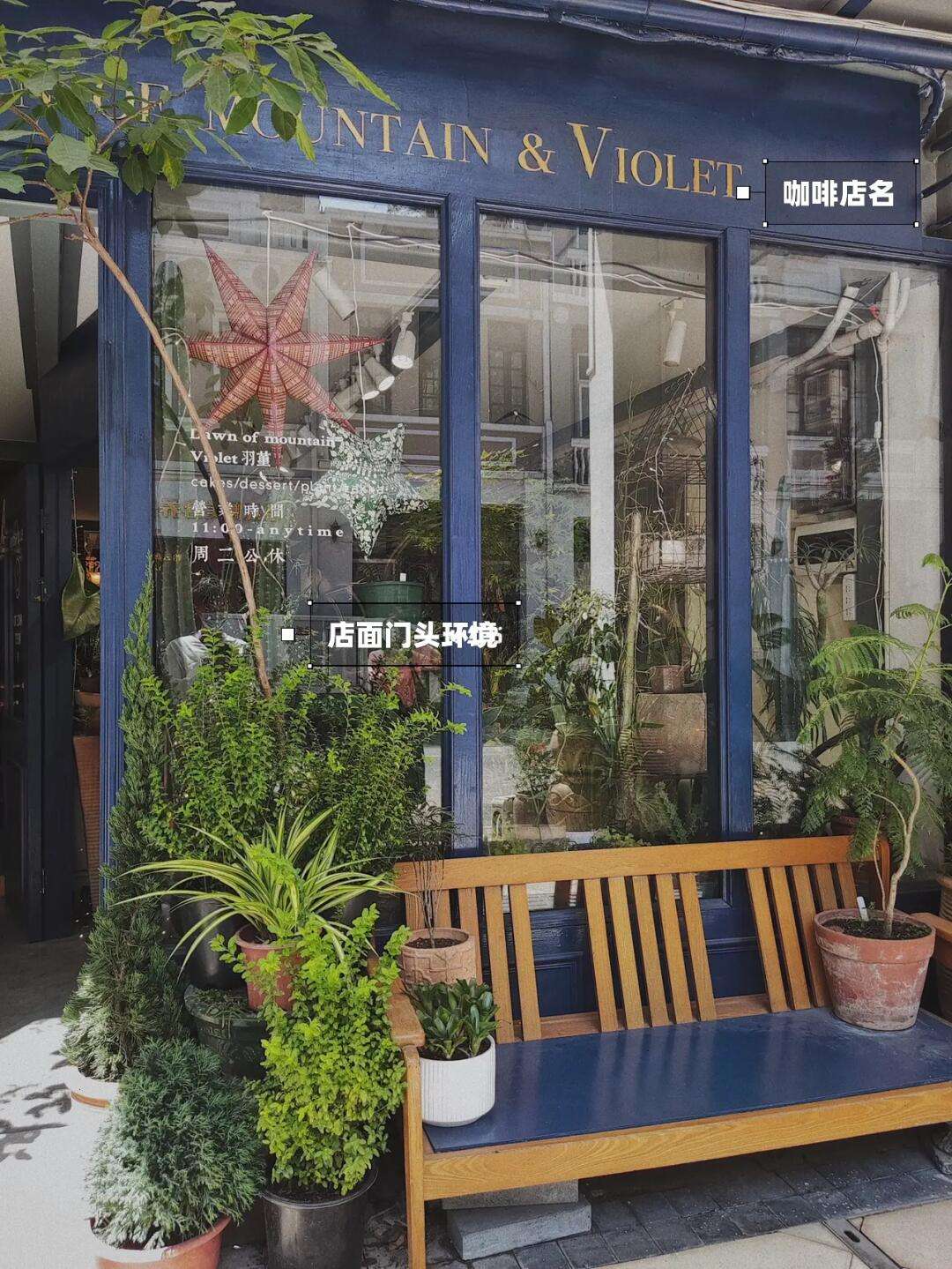 一眼就吸引人的綠植店名、2018有創意的綠植店名