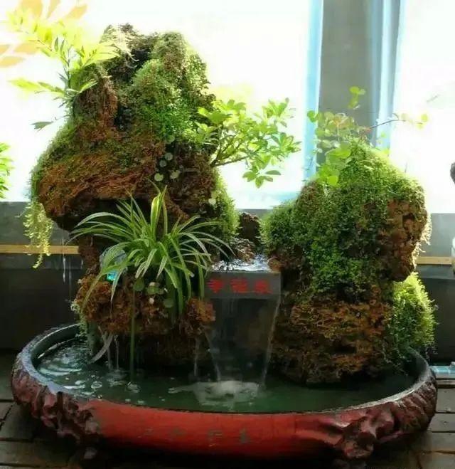 自做山水盆景視頻、自制山水盆景制作過程