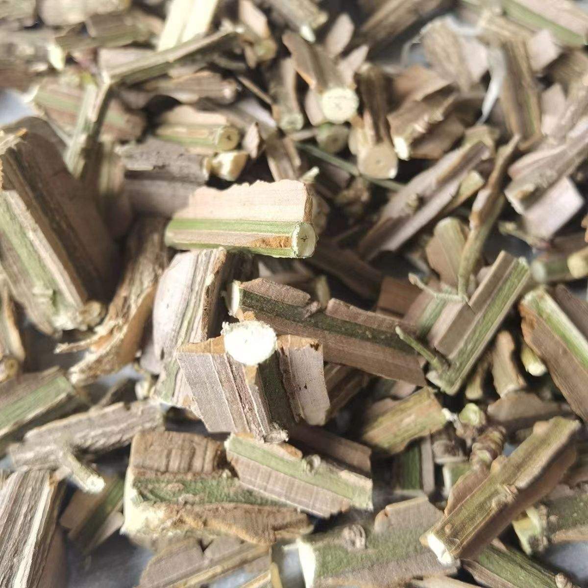 鬼箭羽的栽培方法、鬼箭羽的栽培方法是什么