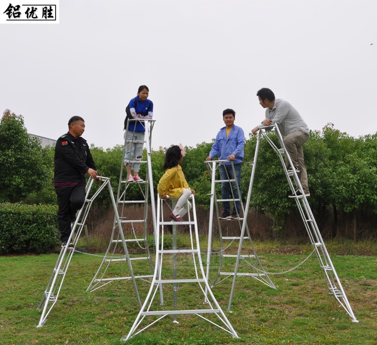 果樹專用梯子圖片大全、果樹專用梯子圖片大全及價格