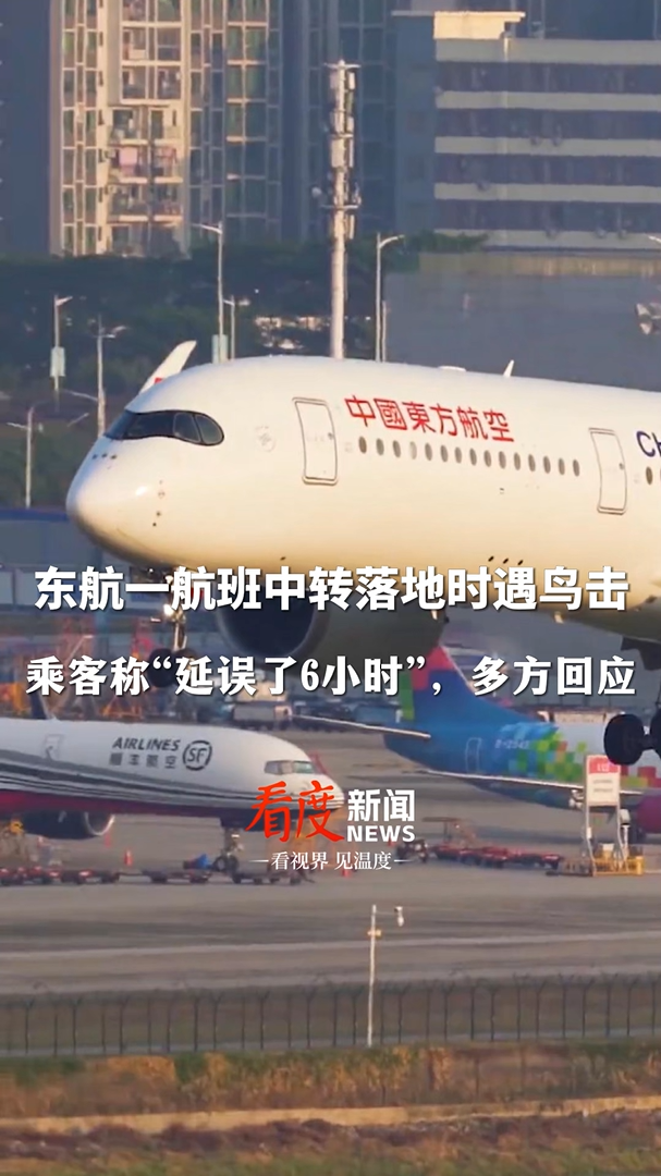 又一波音飛機與鳥相撞后迫降、鳥語飛機相撞引起機毀人亡的原因