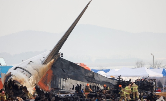 又一波音飛機與鳥相撞后迫降、鳥語飛機相撞引起機毀人亡的原因
